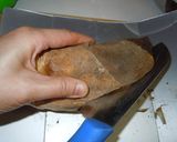 具>ご飯。筍蓮根ゴボウキノコ鶏肉人参ご飯作り方3写真