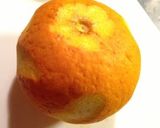 夏みかんのピール作り方1写真