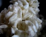 炊飯器で簡単『甘麹』作り方2写真