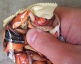 おかきでお茶漬け！作り方1写真