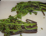 [簡単]蕨と筍と鶏肉の煮物作り方7写真