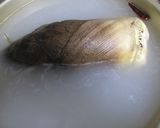 タケノコの茹で方（下準備）♡作り方5写真
