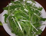水菜の浅漬け作り方1写真