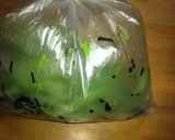 水菜の浅漬け作り方5写真