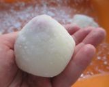 ヨーグルトの苺大福作り方8写真