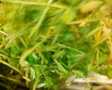 もやし・豆苗・油揚げのゆかり炒め作り方3写真