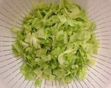 キャベツとシーチキンのがんも作り方1写真