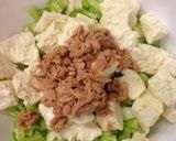 キャベツとシーチキンのがんも作り方3写真