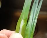 旨い！！玉葱の芽の美味しい食べ方作り方2写真