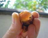 インドネシアのナシ☆クニン作り方1写真