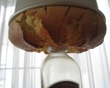 さつまいも☆シフォン作り方10写真
