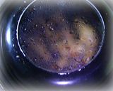 鶏手羽元で簡単タンドリーチキン作り方10写真