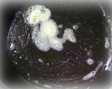 はちみつとバターとお日様の芋ケンピ作り方9写真