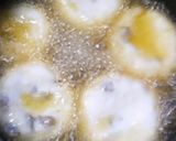 ☆もちもちレンコン饅頭☆作り方7写真
