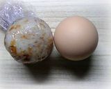 簡単キャラ弁：ダッフィーとシェリーメイ作り方3写真