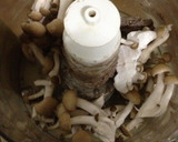 鰯と豆腐のつみれ揚げ(フープロ使用)作り方4写真