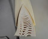 [簡単]筍の下茹で処理作り方4写真