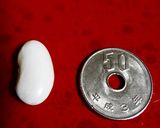 白いんげん豆のコンフィ作り方9写真