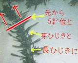 生ひじき作り方3写真