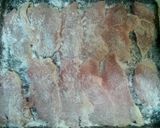 驚きの柔らかさ！鶏ムネ肉で塩胡椒レモン作り方1写真