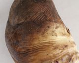 春真っ盛り！筍のゆで方～大鍋を使って～作り方1写真