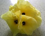 おくらの花サラダ作り方1写真