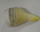 生たけのこの下ゆで作り方4写真