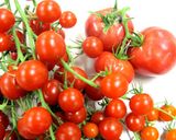 野菜たっぷりラタトゥイユ作り方1写真