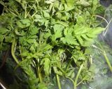 セリの胡麻味噌和え作り方1写真