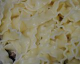 ちっちゃいアミ海老のパスタ作り方13写真