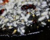 ちっちゃいアミ海老のパスタ作り方8写真