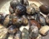 あさりしぐれ煮（潮干狩りの)作り方1写真