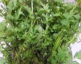 セリの胡麻和え作り方5写真