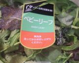 簡単・満腹♡旬の野菜の大人な彩りサラダ作り方2写真