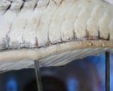 大葉いっぱいかつおたたき作り方15写真