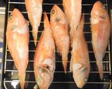 愛知の魚100選　ユメカサゴの塩焼作り方5写真