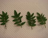 竹の子ご飯作り方7写真
