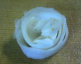 飾り切り☆大根の皮de白薔薇作り方4写真