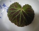 米粉で春野菜ー山菜の天ぷら作り方3写真