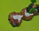 バジルチーズとグリーン野菜の生ハム焼売作り方5写真