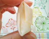 クリームチーズを餃子の皮で包み揚げぇ～作り方5写真