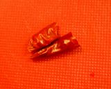 桜えびとトマトのペンネ作り方1写真