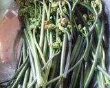 わらびが食べたい♪（あく抜きの方法）作り方5写真