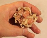 手作りシュウマイ ♪作り方3写真