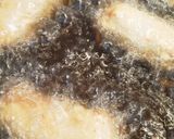 食べ過ぎ注意！大分名物とり天☆鶏の天ぷら作り方10写真