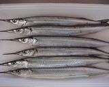 さよりの塩焼き。作り方1写真