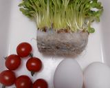 かいわれ大根に炒り卵のせ作り方1写真