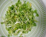 かいわれ大根に炒り卵のせ作り方2写真