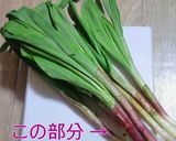 簡単・絶品♬行者にんにくの醤油漬作り方1写真