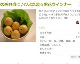 お弁当★浅漬けきゅうりで隙間埋め作り方1写真